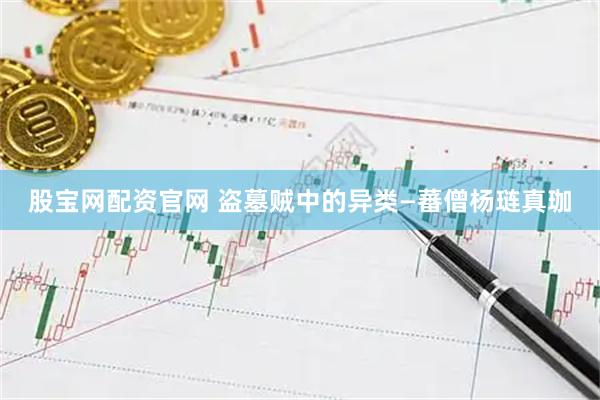 股宝网配资官网 盗墓贼中的异类—蕃僧杨琏真珈