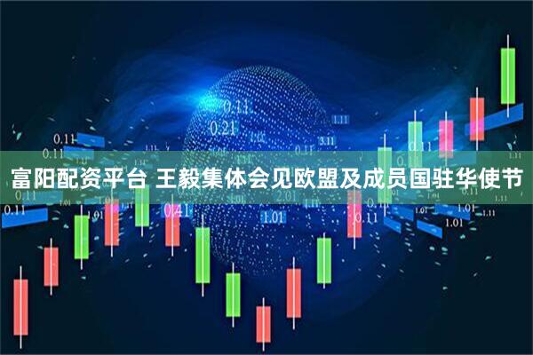 富阳配资平台 王毅集体会见欧盟及成员国驻华使节