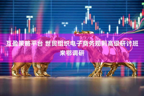 互盈策略平台 世贸组织电子商务规则高级研讨班来鄂调研