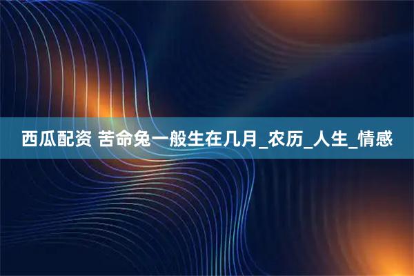 西瓜配资 苦命兔一般生在几月_农历_人生_情感