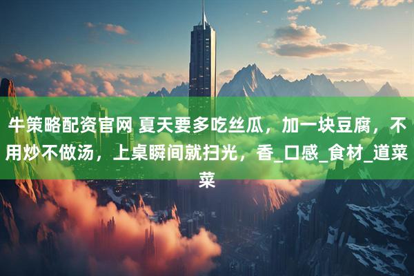 牛策略配资官网 夏天要多吃丝瓜，加一块豆腐，不用炒不做汤，上桌瞬间就扫光，香_口感_食材_道菜